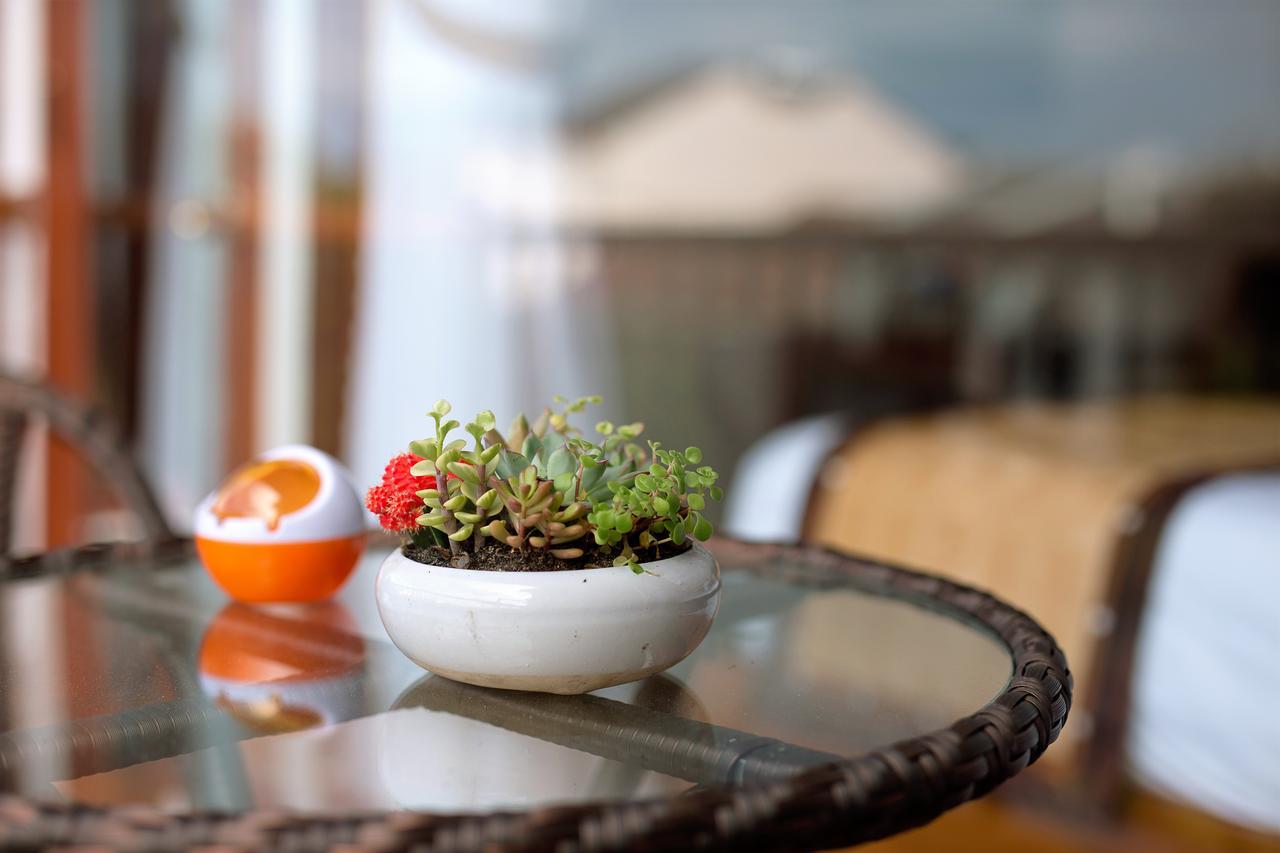 Hoi An VI Khoa Villa المظهر الخارجي الصورة